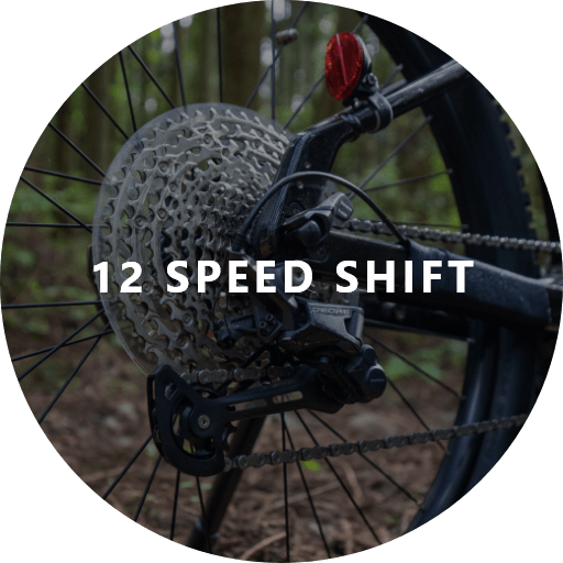 12 SPEED SHIFT